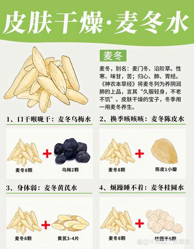 走进麦冬中药材的世界——探寻传统草药的现代价值